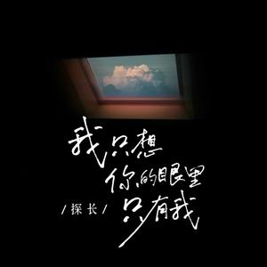 我只想你的眼里只有我