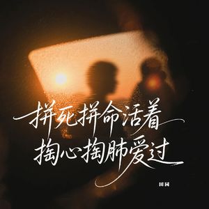 拼死拼命活着掏心掏肺爱过