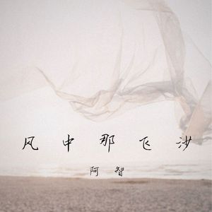 风中那飞沙