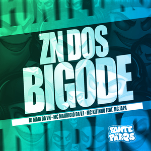 Zn dos Bigode