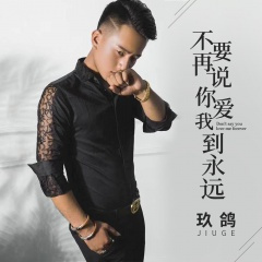 不要再说你爱我到永远