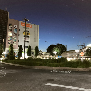 変わらぬ慈愛～父と母へ