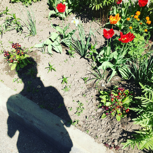 японские авиалинии