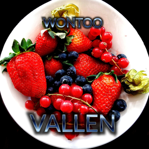 Vallen