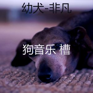 睡觉的小狗(关怀)