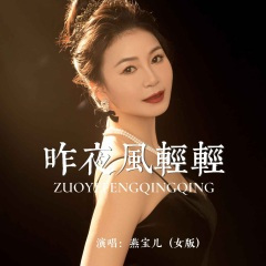 昨夜风轻轻 (女版)(DJ默涵版)