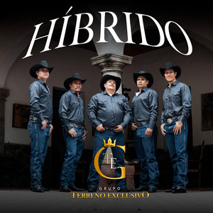 Híbrido