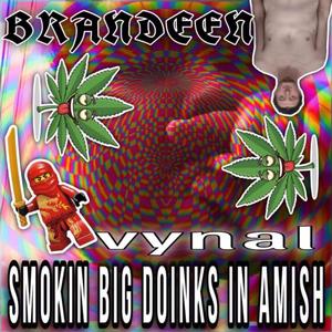 Big Doinks In Amish (feat. Vynal)