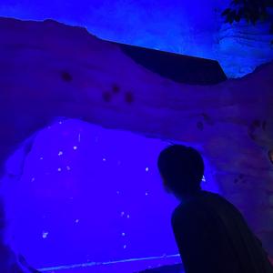 夏夜最后的烟火