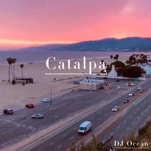 Catalpa