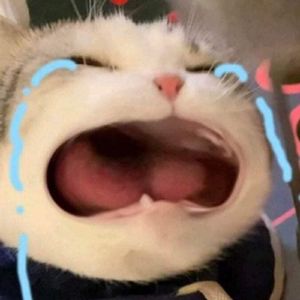 Có Duyên Không Nợ Remix