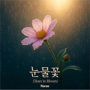 눈물꽃 Tears in Bloom