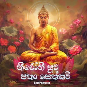 Nirogi Suwaya Patha Sethkavi
