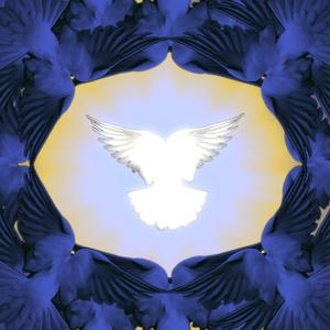 这首歌是送给你的