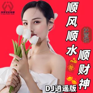 顺风顺水顺财神（DJ逍遥版伴奏）