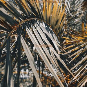 适合办公事务感觉音乐