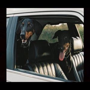 2 Dawgs (feat. Brodie Macck)