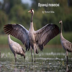 Вранці повесні