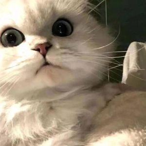 她（prod by FRESH_ye）