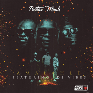 Amalahle (feat. Djvibes)