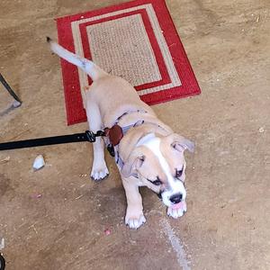 model (feat. Itz Legacy) (Remix)