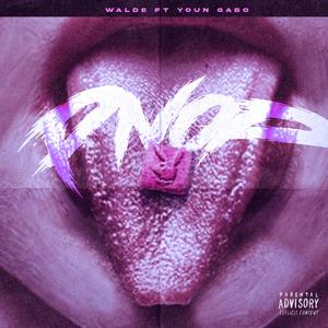 PNOP (feat. YOUNG GABO)