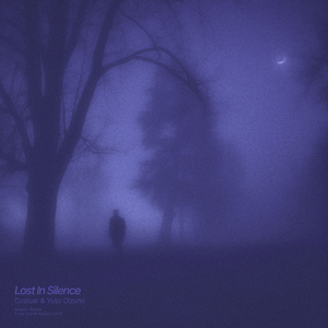 lost in silence (slowed + reverb)