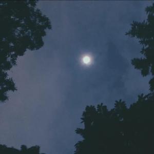 阴暗面（prod by Bizy)