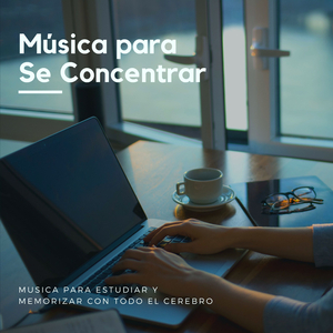 Se Concentrar 432Hz