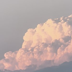 存在记忆里的背影