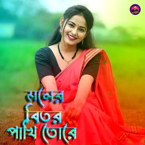 মনের বিতর পাখি তোরে