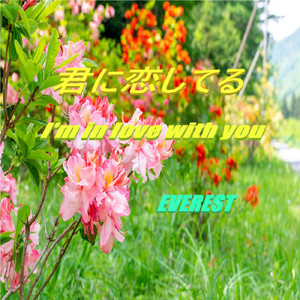 君に恋してる