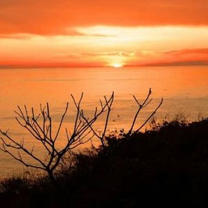 湖畔孤独琴者的忧伤恋曲