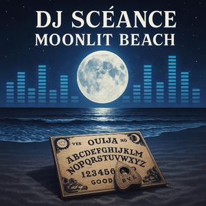 Moonlit Beach