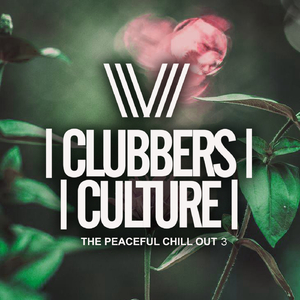 Blue Skies Indeed (Original Mix)