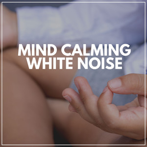 Night White Noise, Pt. 15