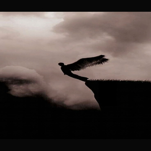 Why It's so Easy to Fall in Love