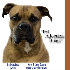 Pet Adoption Blues