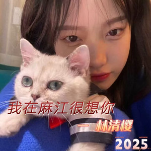 一般音响扛不住DJ