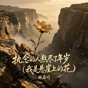 执念的人熬尽了年岁(我是悬崖上的花)