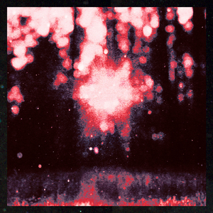 Покоритель ночи