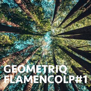 Seguidillas (Geometriq Edit) (Geometriq Edit)