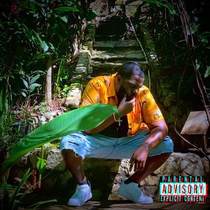 Inside the Water (feat. Maxi Zee) (Extended Version)