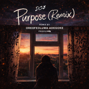 Purpose (Remix)