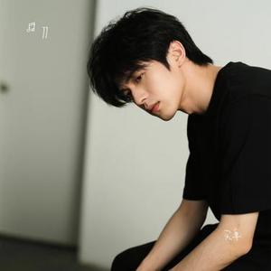 回归一块小石头 (11 Remix)