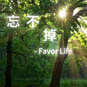 忘不掉