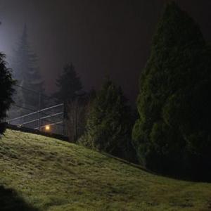 Night of the affair
