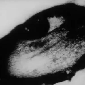 Kalt (feat. Regenwald & qrixtol)