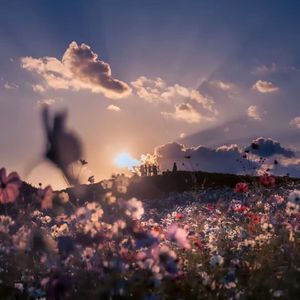 真我本色（钢琴曲）