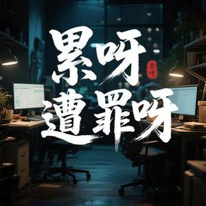 累呀遭罪呀 (拾云 Remix)